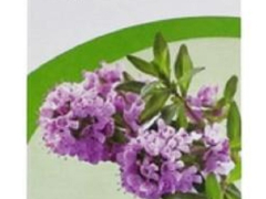 Пертусин сироп 200г Табула Віта